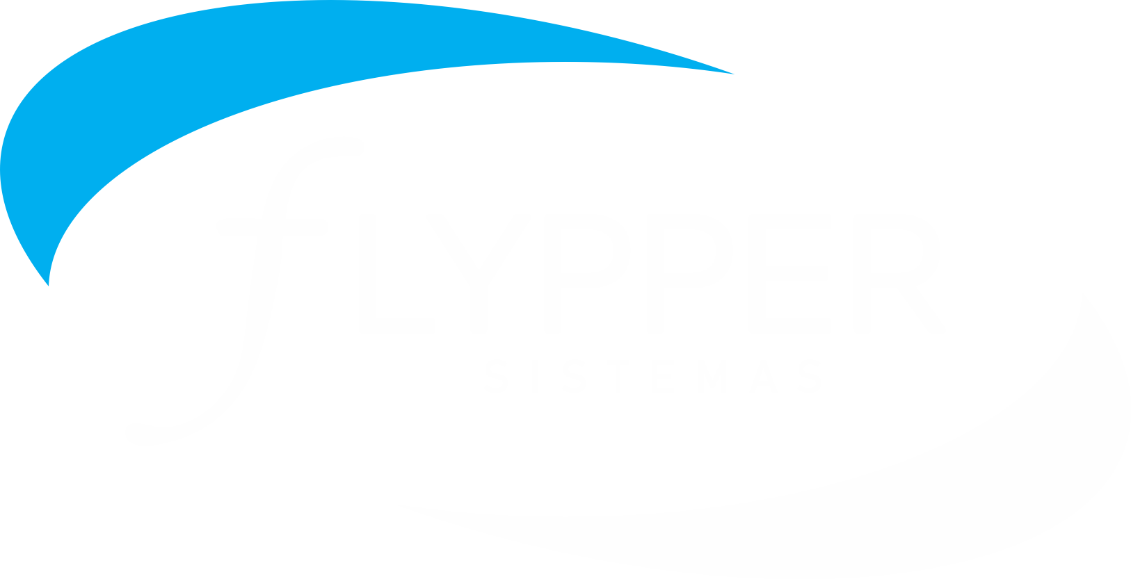 Flypper Sistemas